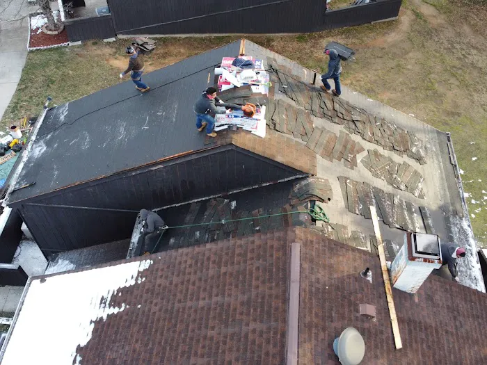 Wil the Roofer Picture 3