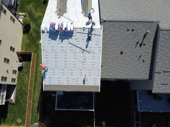 Wil the Roofer Picture 7