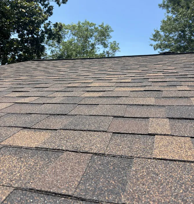 Pure Roofing Picture 10