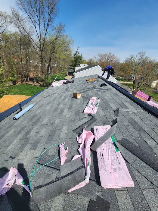 MLM Home Improvement Picture 5