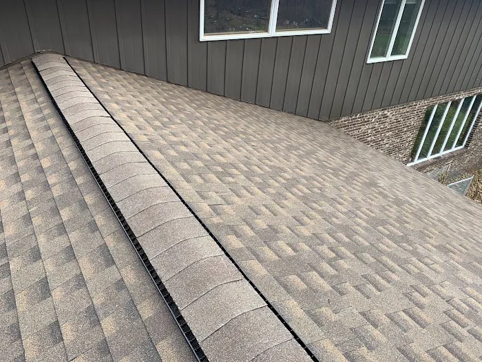 The Roofing King LLC Picture 3