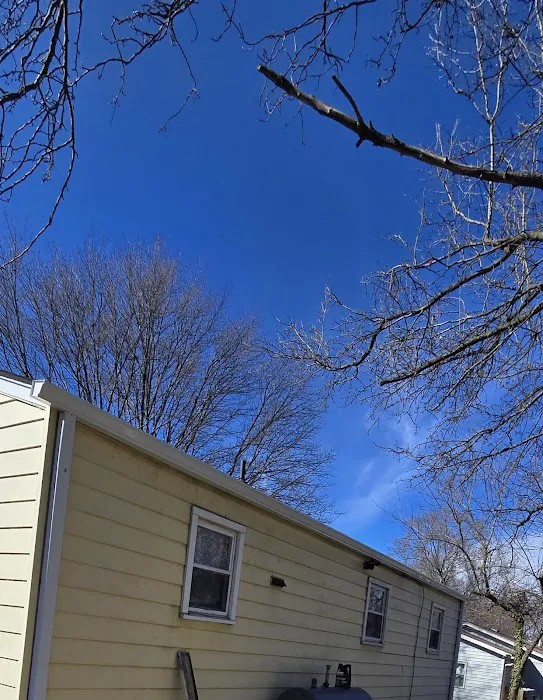 Top American Exteriors LLC Picture 2