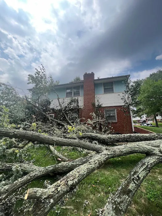 Quality Innovation Picture 8