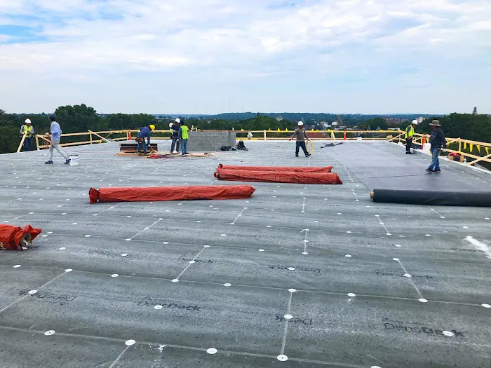 NEPS Roofing Picture 9