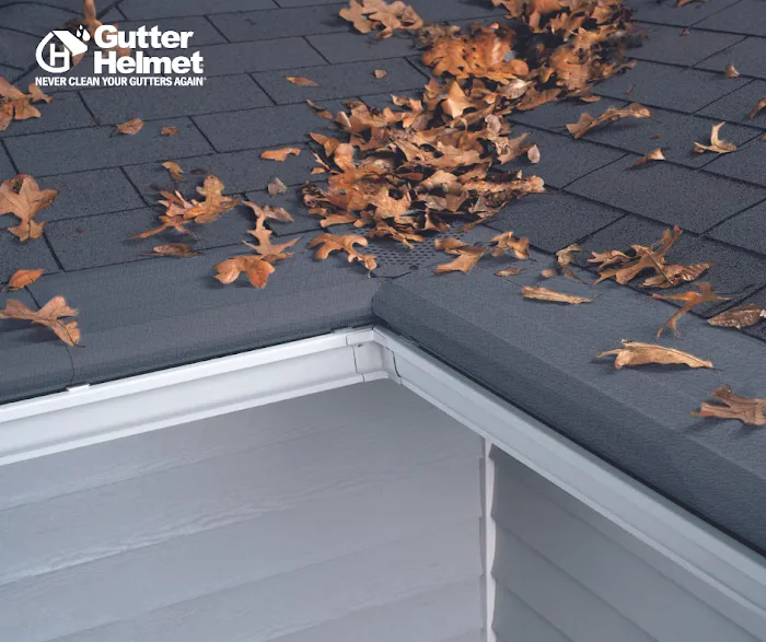 Gutter Helmet & Quality Roofing Picture 1