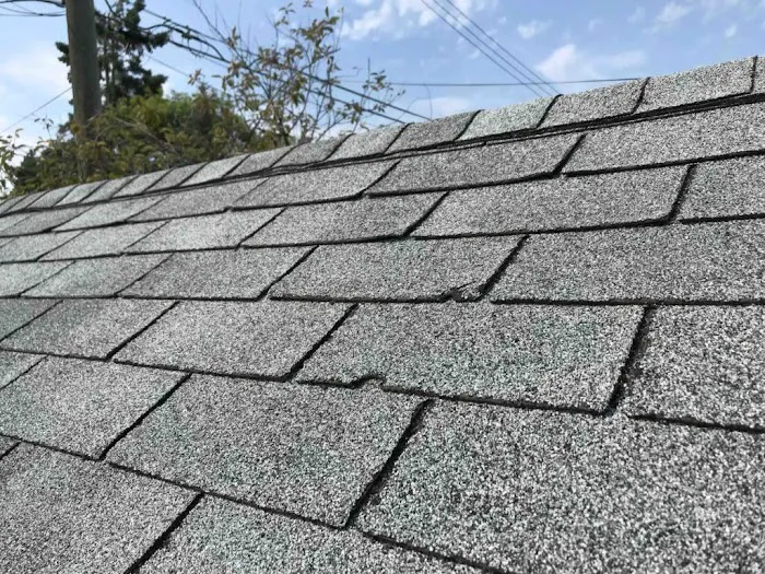 Glas J Roofing Picture 4