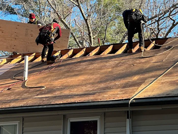 Ferreira Exteriors Picture 7