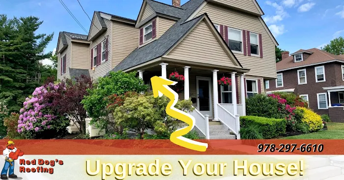 Red Dog's Roofing LLC Picture 6