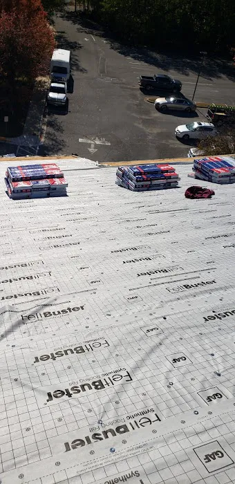 Terrapin Roofing Picture 8