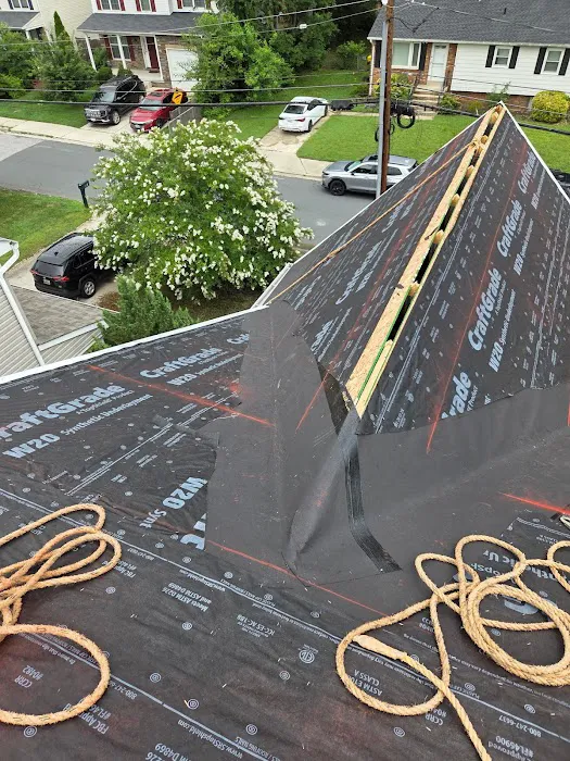 Terrapin Roofing Picture 4