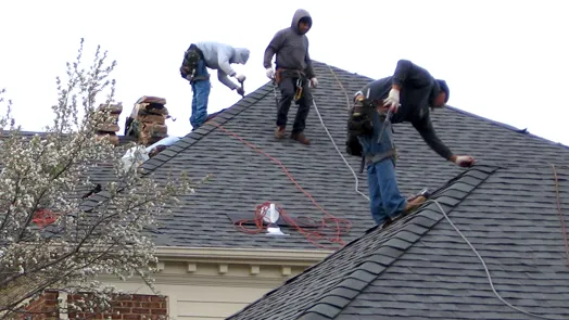 Style Roofing Picture 1