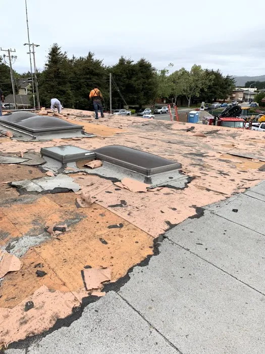 Gambies & Sons Roofing Picture 2