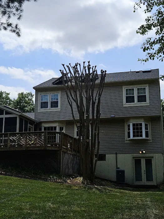 BMS Roofing Picture 7