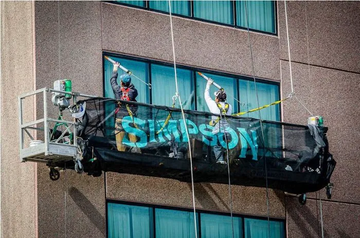 Simpson Unlimited Picture 1