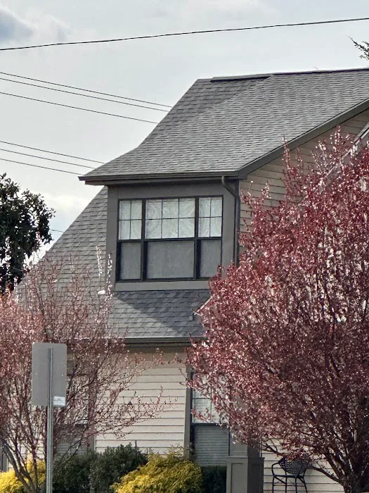 Golden Tree Roofing Picture 3