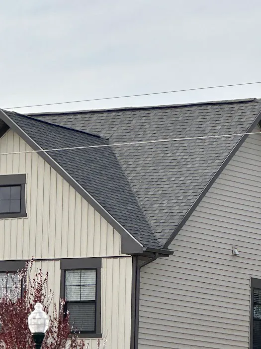 Golden Tree Roofing Picture 5