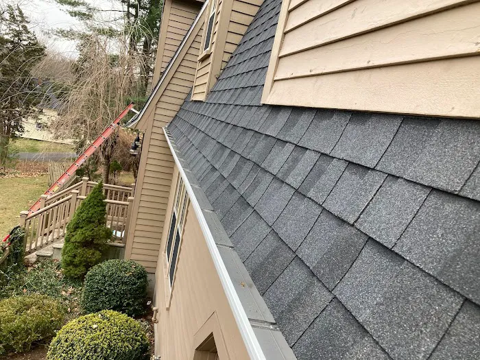 Global Roofing Picture 4