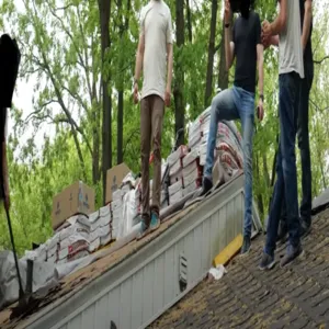 Lion Roofing Picture 2