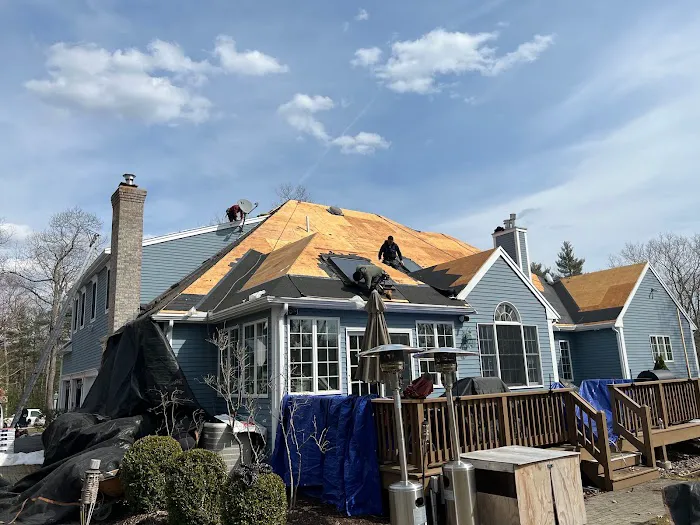 Lion Exteriors and Construction Picture 10