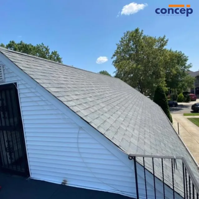 Concep Roofs Picture 8