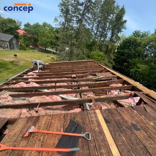 Concep Roofs Picture 2