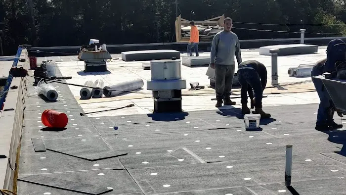 Lion Roofing LLC Picture 3