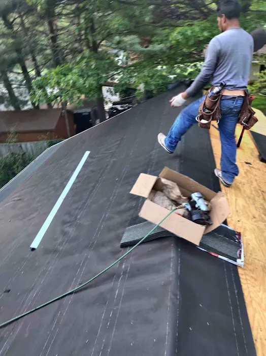 Lion Roofing LLC Picture 7