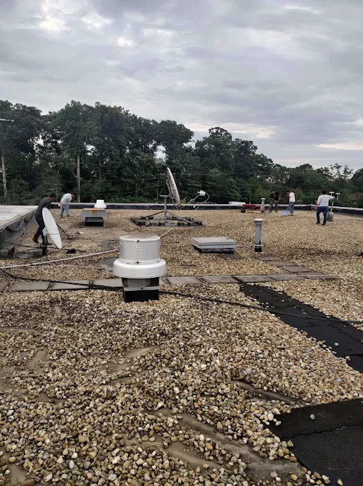 Lion Roofing LLC Picture 9