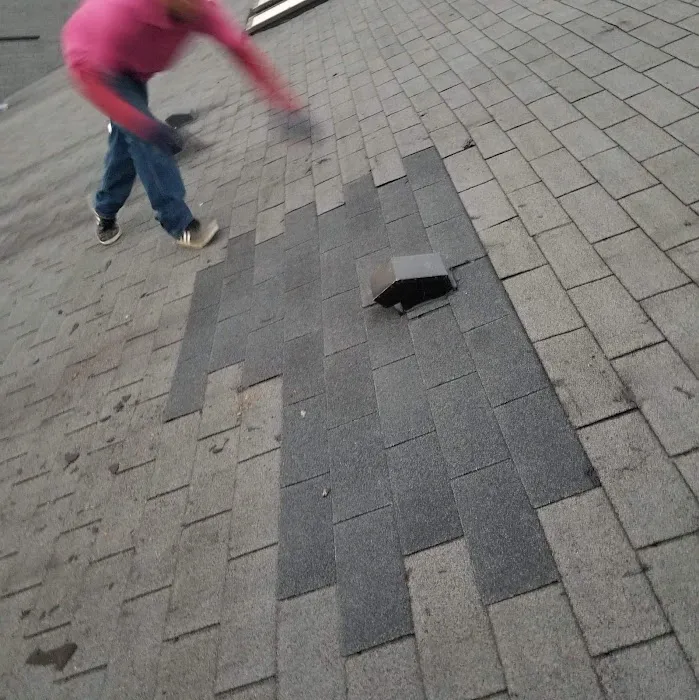 Lion Roofing LLC Picture 2