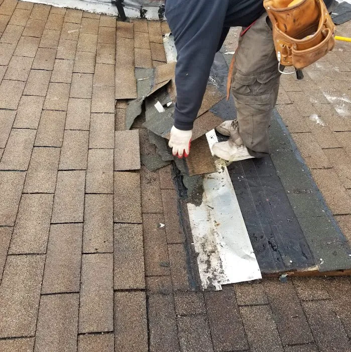 Lion Roofing LLC Picture 10