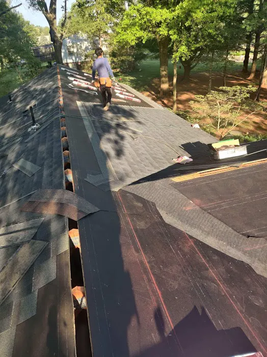 Lion Roofing LLC Picture 6