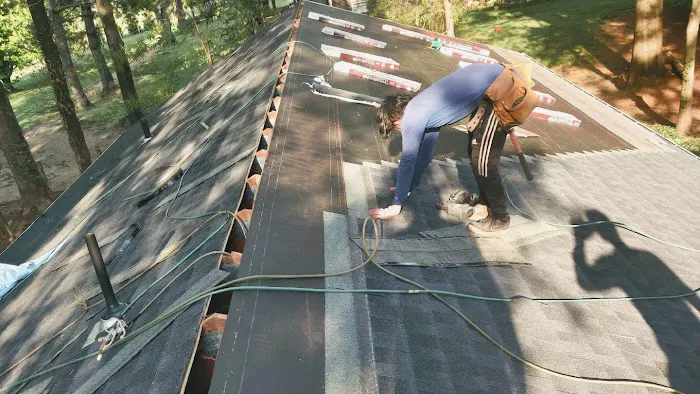 Lion Roofing LLC Picture 5