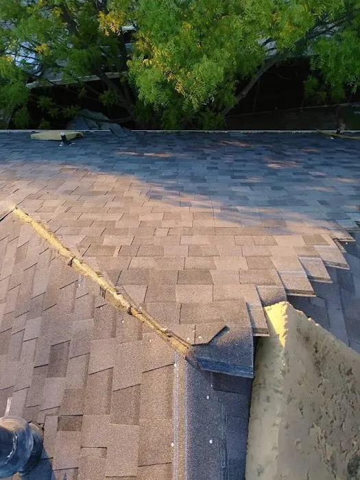 Lion Roofing Picture 8