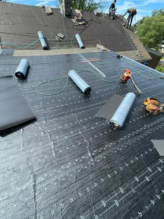 Lion Roofing Picture 1