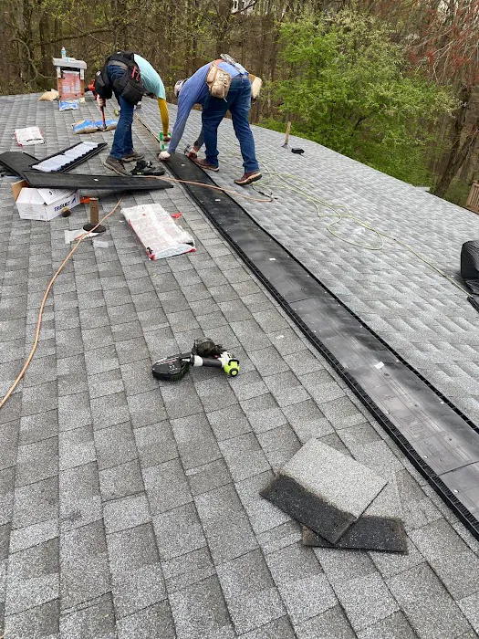 Lion Roofing Picture 2