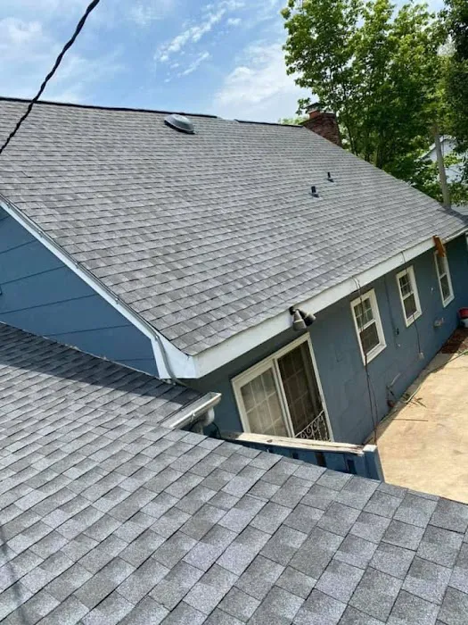 Lion Roofing Picture 10