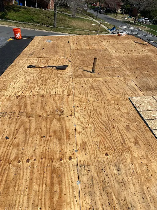 Lion Roofing Picture 4