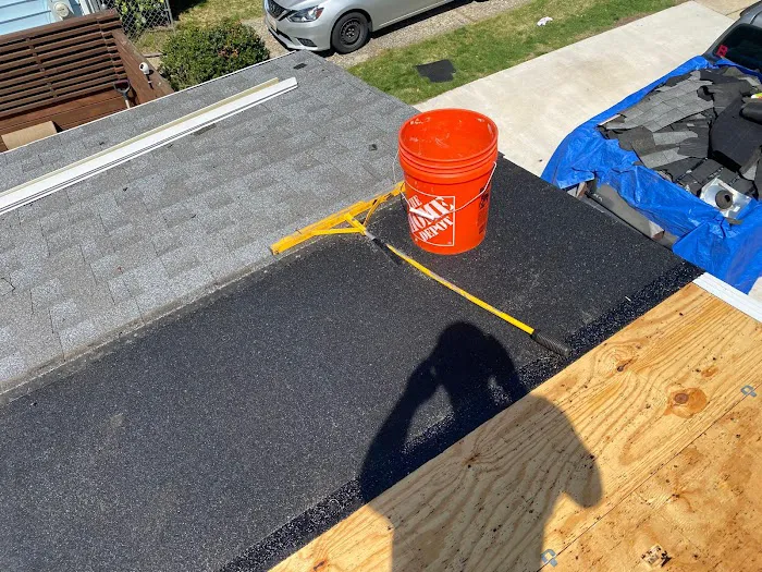 Lion Roofing Picture 3