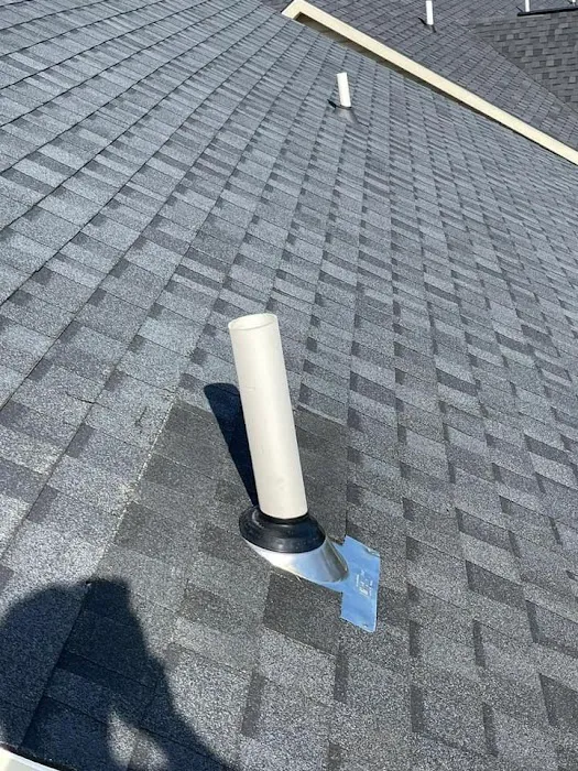 Lion Roofing Picture 5