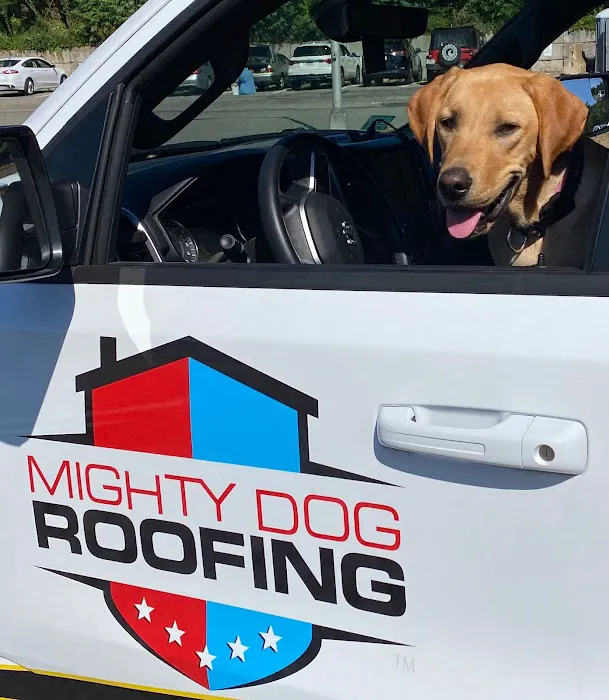Mighty Dog Roofing MetroWest Boston Picture 6