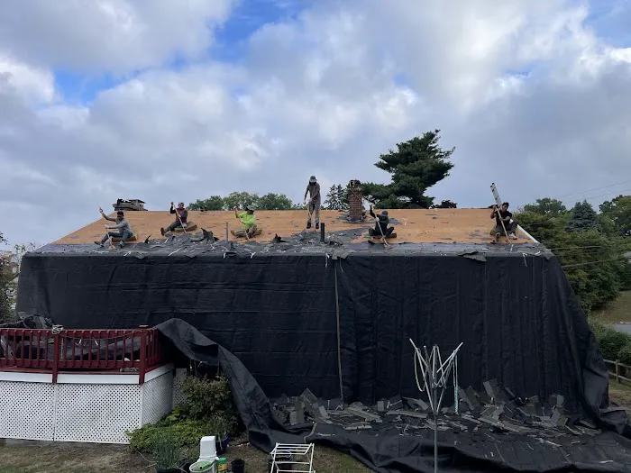 Roof Tops Picture 10