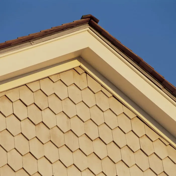 Tim's Fast Repair Leak Roofing Picture 1