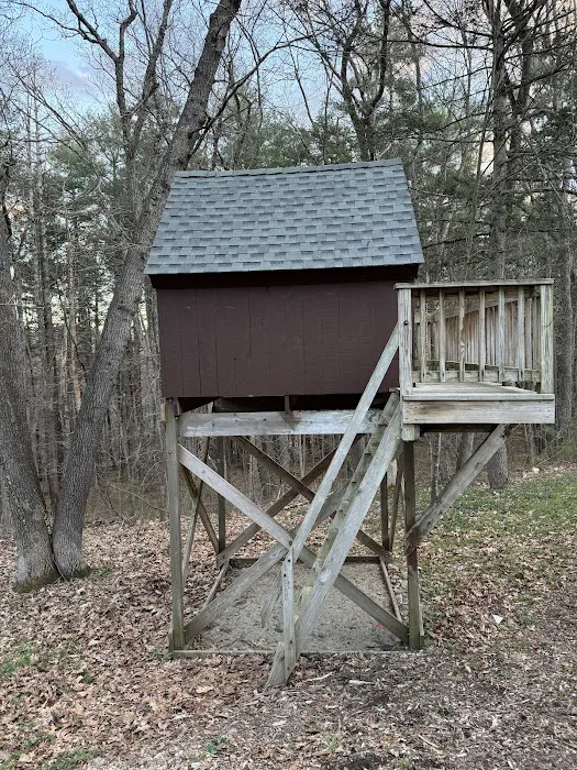 Action Roofing Picture 8