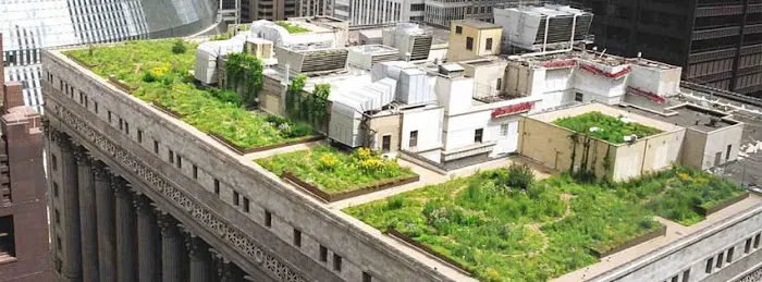 Eagle Rivet Roof Services Corporation Picture 5