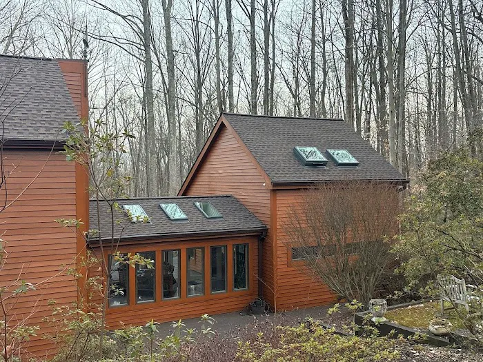 Black Anchor Roofing Picture 4