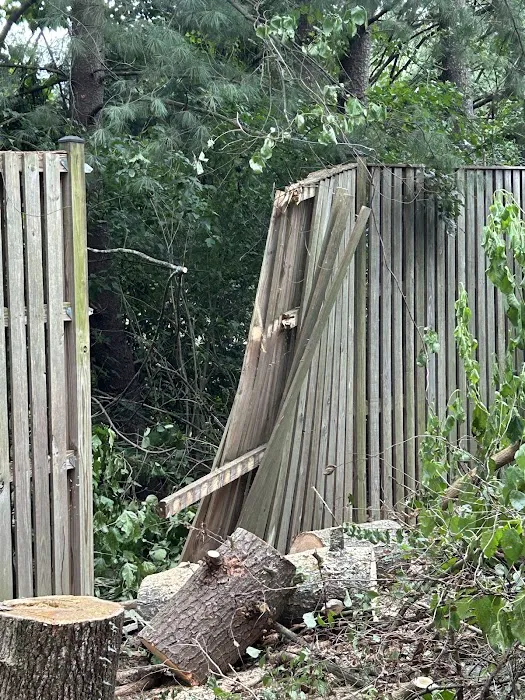 Albert J Jackson Inc. Picture 8