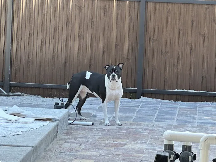 Reliable Roofers Picture 10