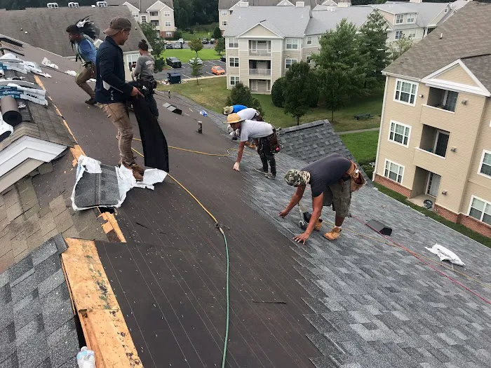 Port Solutions Roofing Picture 2