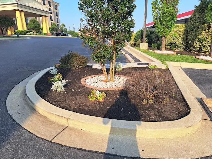 Washington Roofing Picture 3