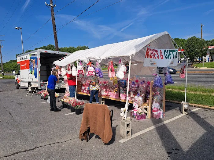 Washington Roofing Picture 1